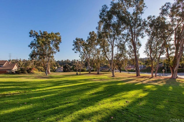 1663 Linda Sue Ln, Encinitas, CA 92024 - surrounding community featuring a yard