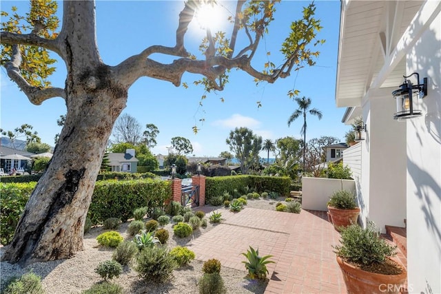 432 Holly St, Laguna Beach, CA 92651 - view of patio / terrace