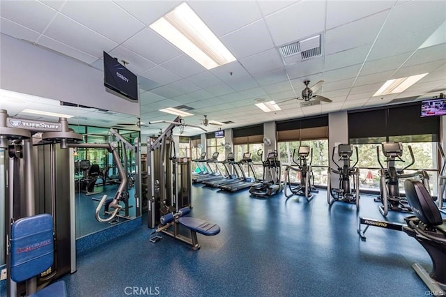 23795 Los Pinos Ct, Corona, CA 92883 - workout area with plenty of natural light, a drop ceiling, and a ceiling fan