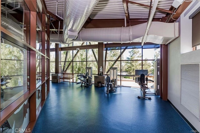 23795 Los Pinos Ct, Corona, CA 92883 - exercise room featuring a high ceiling, a heating unit, and a wall of windows