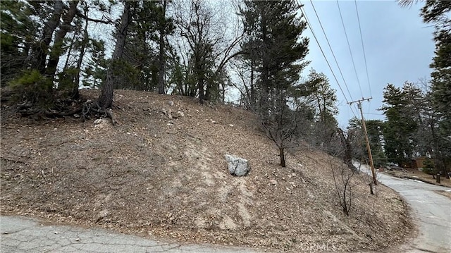 701 Preston Dr, Running Springs, CA 92382