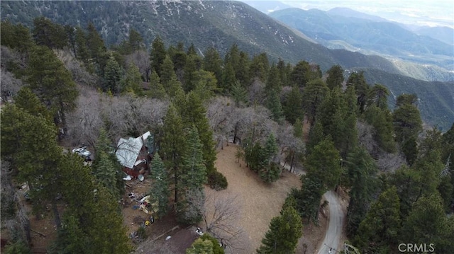 701 Preston Dr, Running Springs, CA 92382