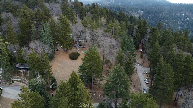 701 Preston Dr, Running Springs, CA 92382