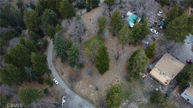 701 Preston Dr, Running Springs, CA 92382