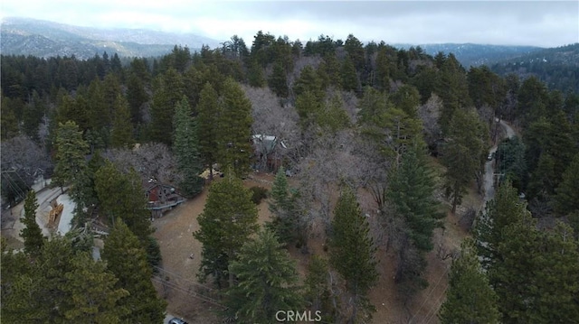 701 Preston Dr, Running Springs, CA 92382