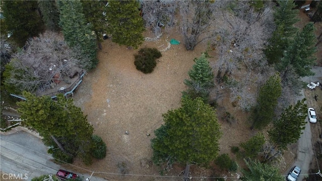 701 Preston Dr, Running Springs, CA 92382