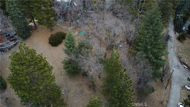 701 Preston Dr, Running Springs, CA 92382