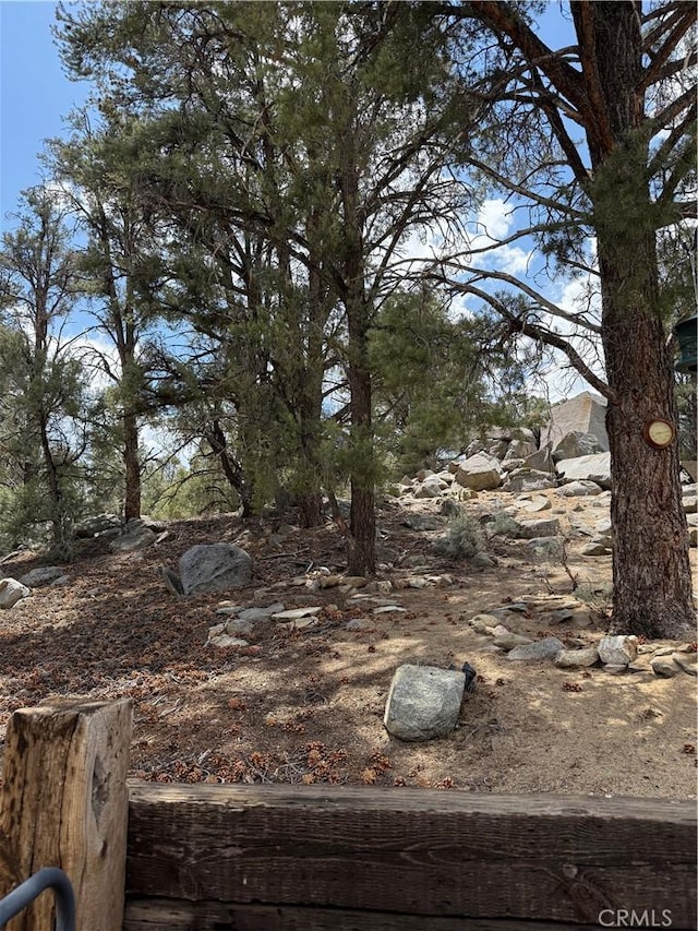 98011 Maine Rd, Kennedy Meadows, CA 93527 - view of yard