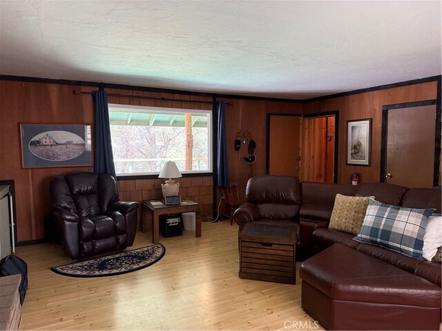 98011 Maine Rd, Kennedy Meadows, CA 93527 - living area featuring wood finished floors, wood walls, and a textured ceiling