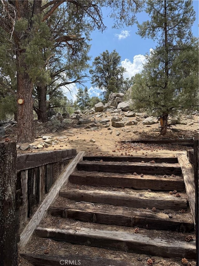 98011 Maine Rd, Kennedy Meadows, CA 93527 - view of yard