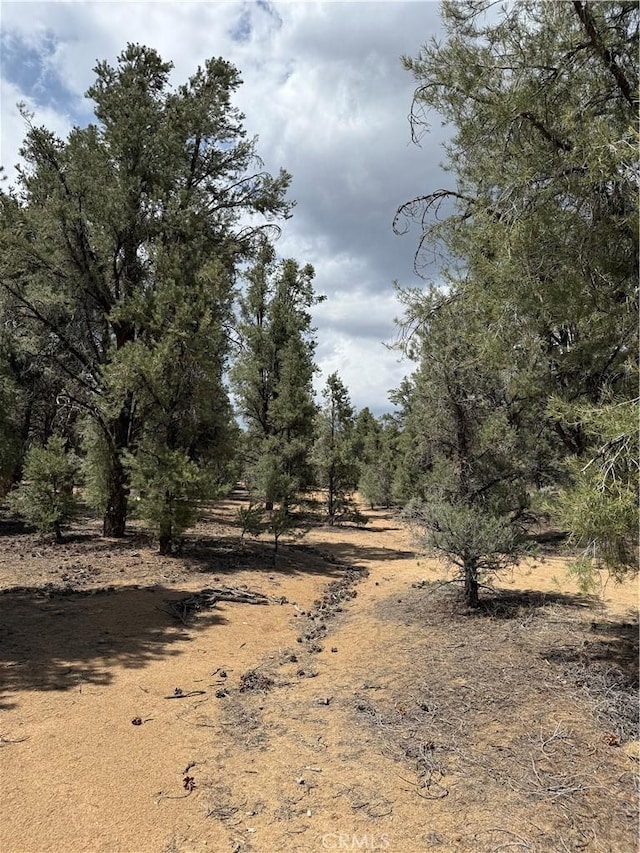 98011 Maine Rd, Kennedy Meadows, CA 93527 - view of undeveloped land