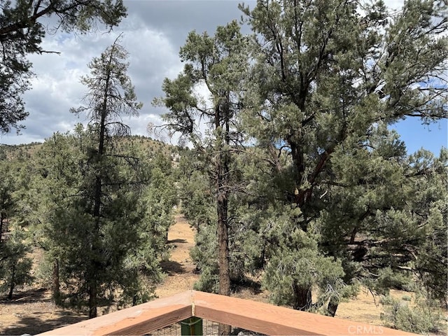 98011 Maine Rd, Kennedy Meadows, CA 93527 - view of yard featuring a forest view