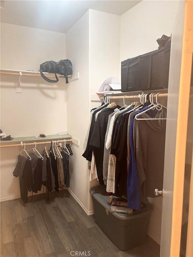 1884 Glow Pointe, San Jacinto, CA 92582 - walk in closet with wood finished floors