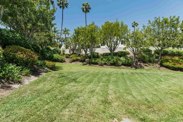 6848 Xana Way, Carlsbad, CA 92009 - view of yard
