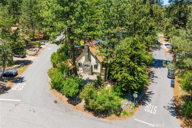 1501 Oriole Rd, Wrightwood, CA 92397 - photo 28