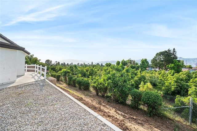 1563 Gary Ln, Redlands, CA 92374 - view of yard