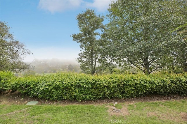 30902 Clubhouse Dr Unit 27D, Laguna Niguel, CA 92677 - view of grassy yard