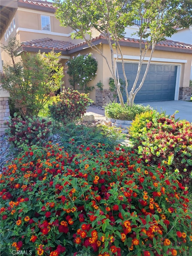 27711 Adonis Ln, Canyon Country, CA 91351 - photo 4