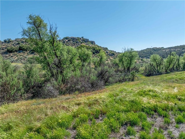 48805 Forest Springs Rd, Aguanga, CA 92536