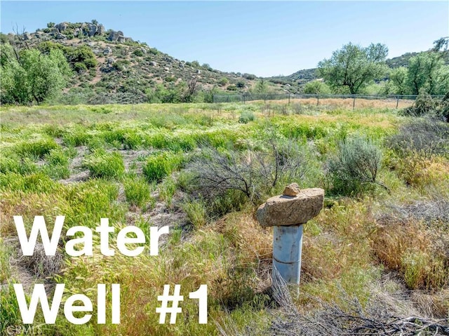 48805 Forest Springs Rd, Aguanga, CA 92536