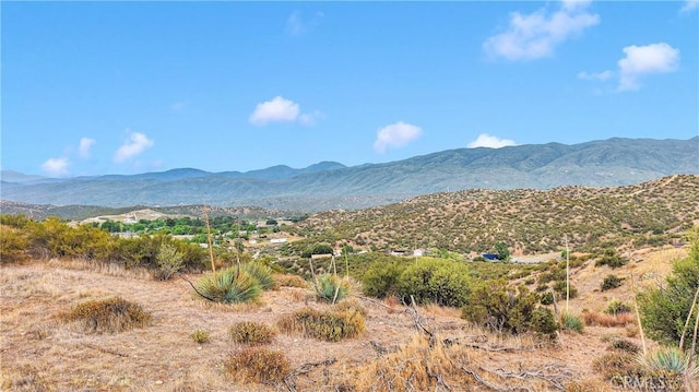 11 Summit Valley Rd, Hesperia, CA 92345 - photo 4