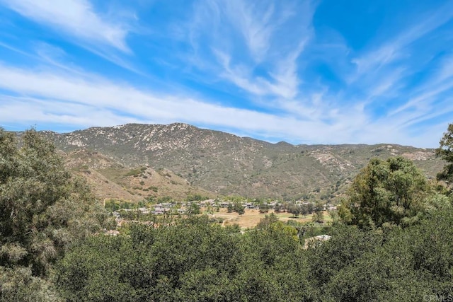 1529 Cloverdale Rd, Escondido, CA 92027 - view of mountain background