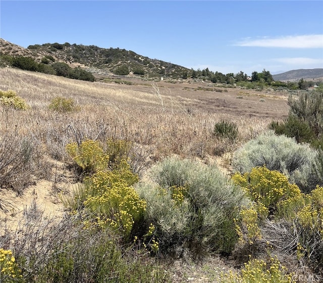 8201 Elizabeth Lake Rd, Palmdale, CA 93551