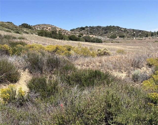 8201 Elizabeth Lake Rd, Palmdale, CA 93551