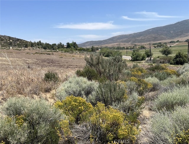 8201 Elizabeth Lake Rd, Palmdale, CA 93551