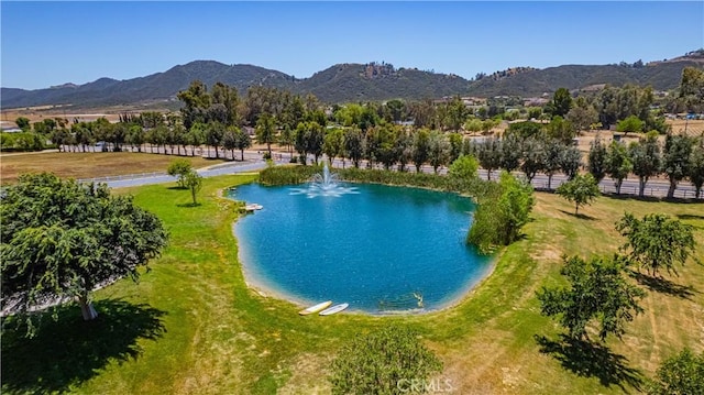 26465 Douglas Ave, Murrieta, CA 92562 - photo 32
