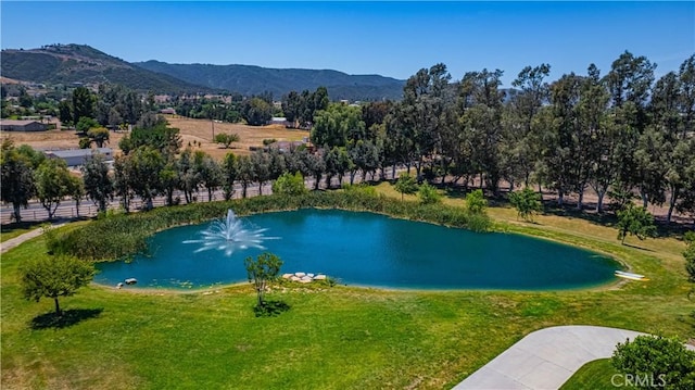 26465 Douglas Ave, Murrieta, CA 92562 - photo 53