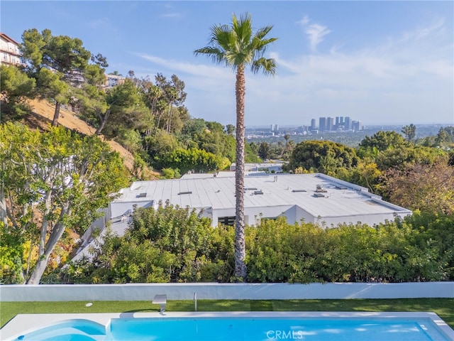 1046 N Hillcrest Rd, Beverly Hills, CA 90210 - view of swimming pool featuring view of wooded area
