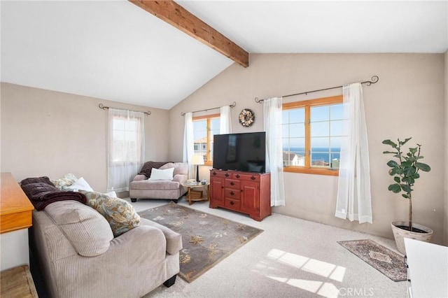 2718 S Averill Ave, San Pedro, CA 90731 - photo 21