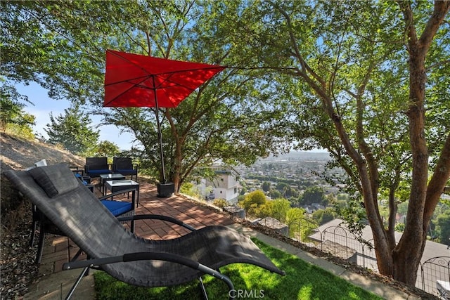 3610 Kinney St, Los Angeles, CA 90065 - view of yard