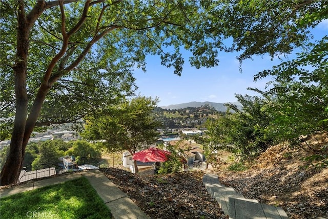 3610 Kinney St, Los Angeles, CA 90065 - view of yard featuring a mountain view