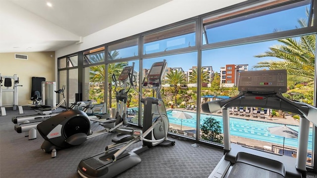 2510 Aperture Cir, San Diego, CA 92108 - gym with lofted ceiling, plenty of natural light, and carpet flooring