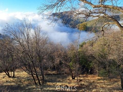 30396 Live Oak Dr, Running Springs, CA 92382 - view of local wilderness