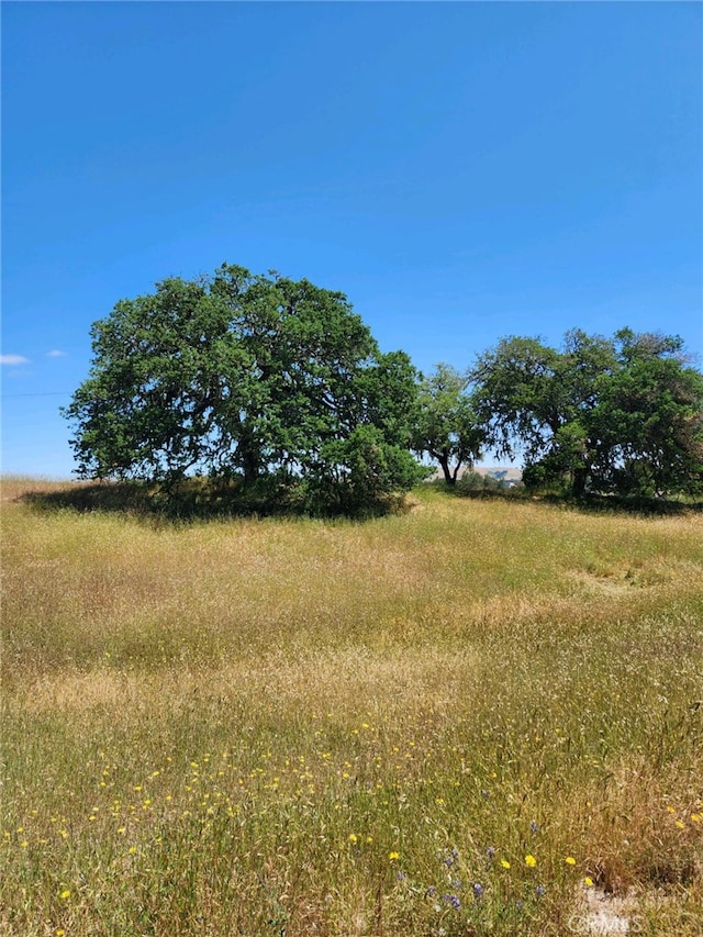 4560 Potrero, Atascadero, CA 93422 - photo 24