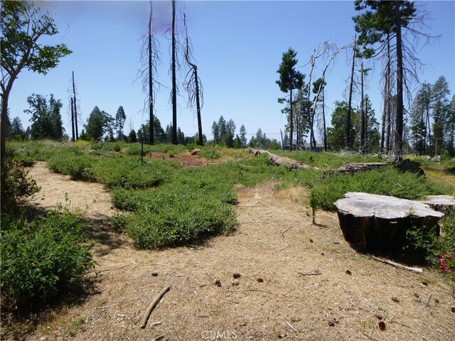 6366 Calvin Dr, Magalia, CA 95954 - photo 15