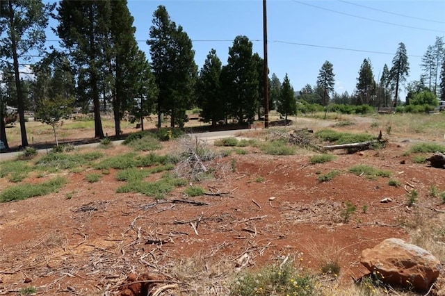 6366 Calvin Dr, Magalia, CA 95954 - photo 8