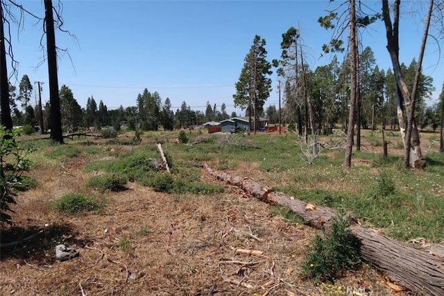 6366 Calvin Dr, Magalia, CA 95954 - photo 7