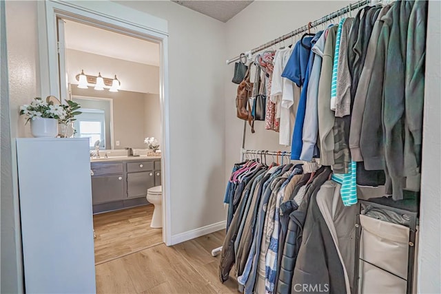 18209 Sierra Unit 45, Canyon Country, CA 91351 - walk in closet with light wood-type flooring