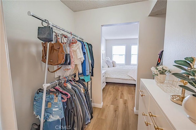 18209 Sierra Unit 45, Canyon Country, CA 91351 - spacious closet with light wood-type flooring