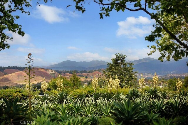 15 Beacon, Ladera Ranch, CA 92694 - view of mountain background