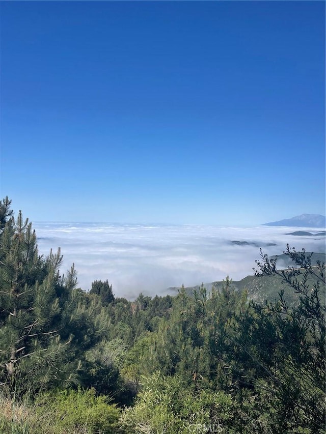 2557 Whispering Pines Dr, Running Springs, CA 92382 - view of wooded area