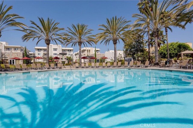 5515 Palm Dr, Hawthorne, CA 90250 - view of community pool
