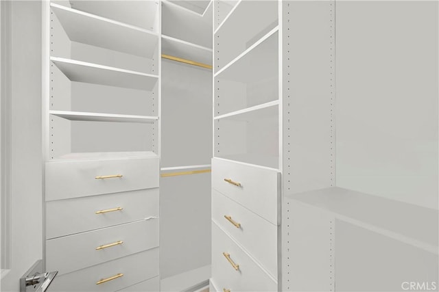 27010 Declaration Rd, Valencia, CA 91381 - view of walk in closet