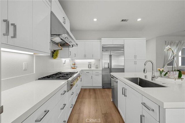 27010 Declaration Rd, Valencia, CA 91381 - kitchen featuring stainless steel appliances, under cabinet range hood, a sink, light wood-style flooring, and light countertops