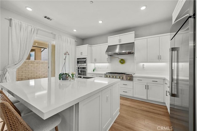 27010 Declaration Rd, Valencia, CA 91381 - kitchen with appliances with stainless steel finishes, under cabinet range hood, white cabinets, light countertops, and light wood-style floors