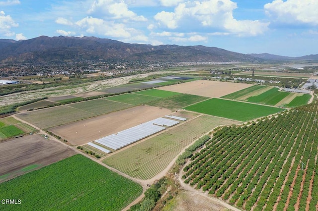 583 Ojai St, Fillmore, CA 93015 - view of rural area featuring extensive farmland and mountains